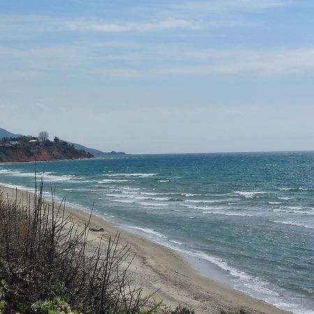 Armonia Seaside Lofts Διαμέρισμα Μαρωνεία Εξωτερικό φωτογραφία