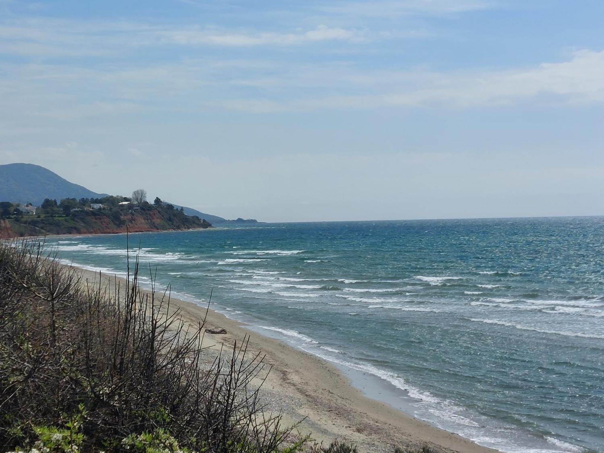 Armonia Seaside Lofts Διαμέρισμα Μαρωνεία Εξωτερικό φωτογραφία